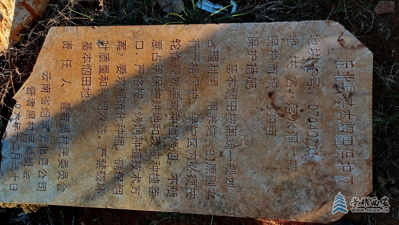 -普者黑 严建设026.JPG