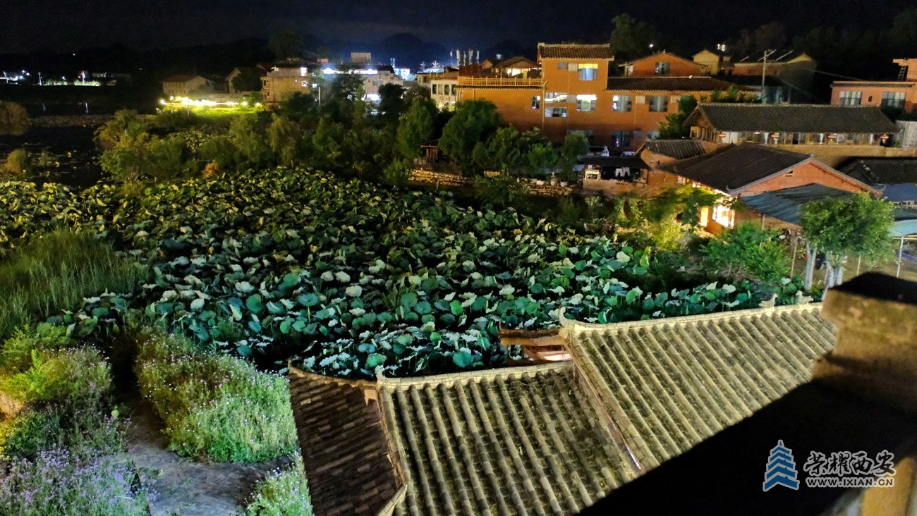 普者黑 严建设019.JPG