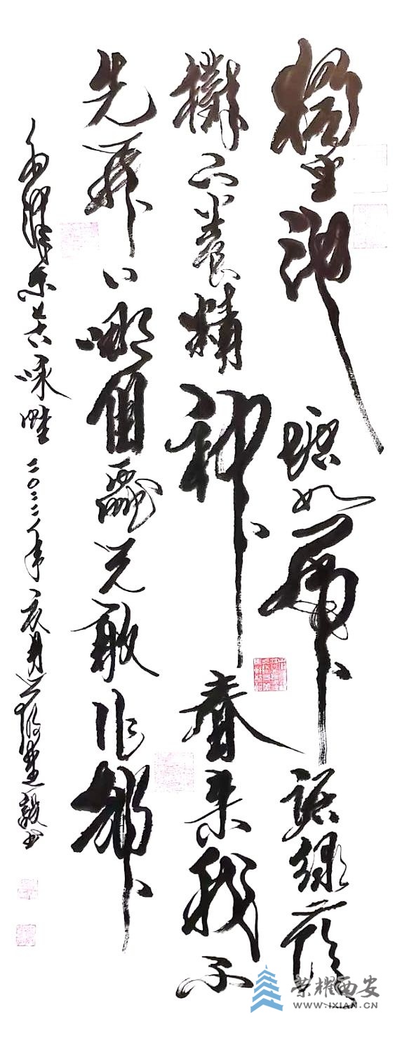王莽荷花 严建设04.jpg