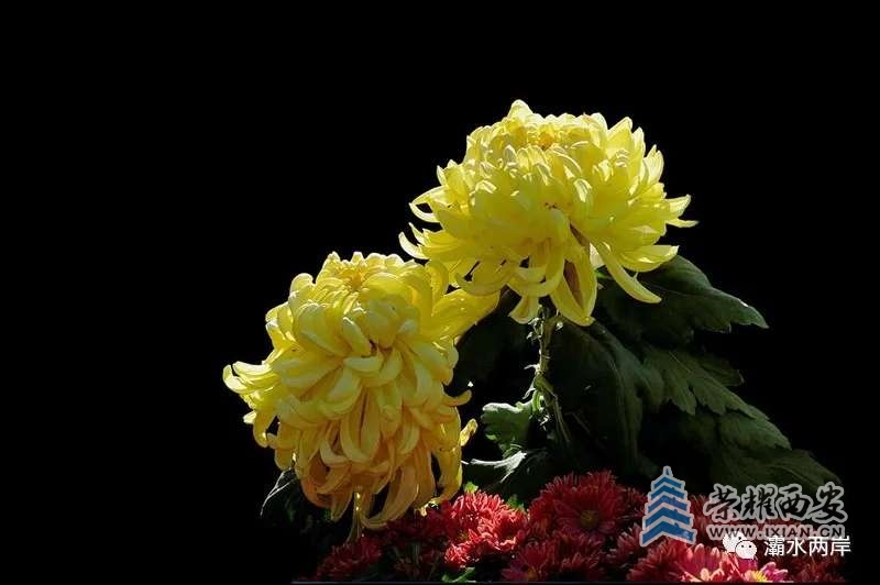 20220812132041front2_0_632260_FpHi6jazE_hToPDCYDJqHeqUNOU9.jpg