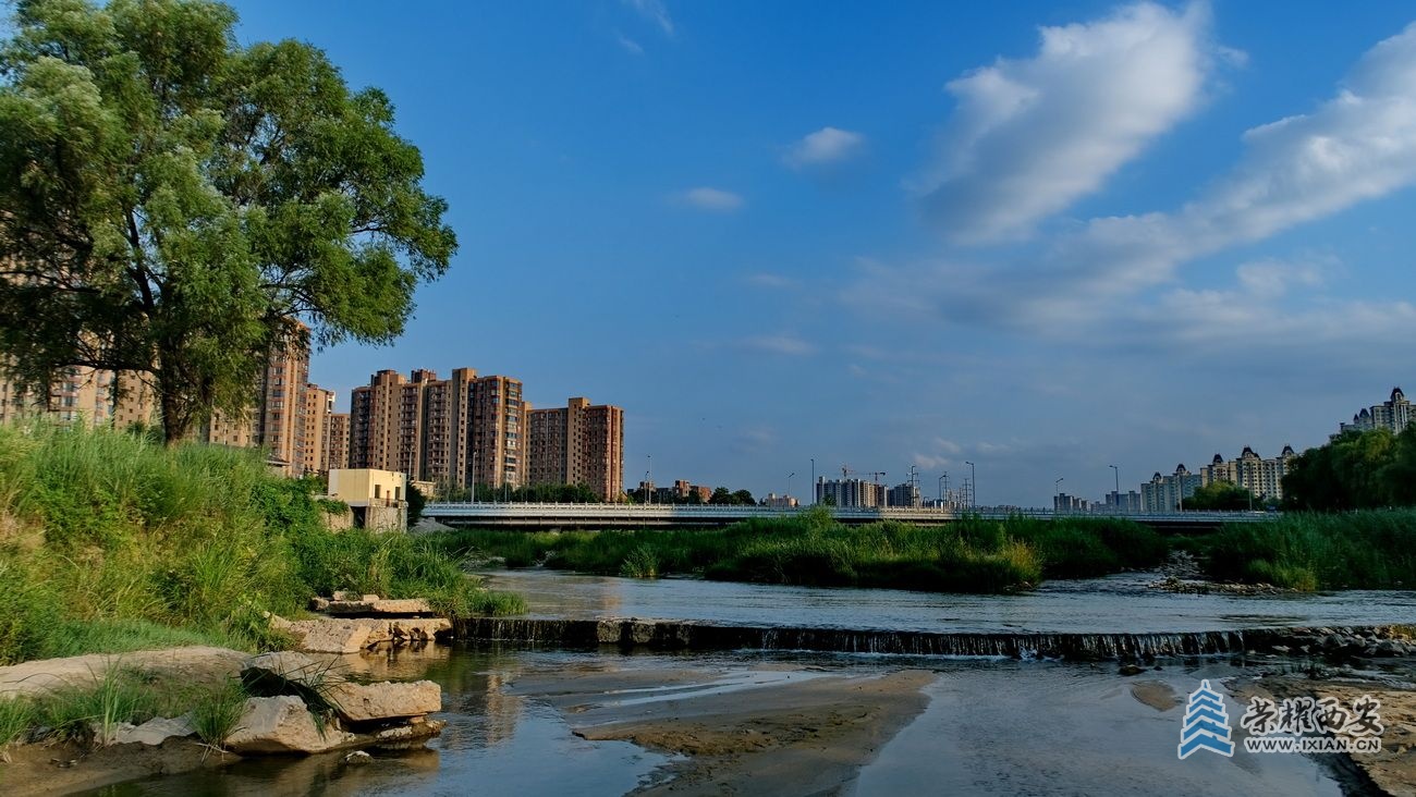 西安 严建设0003.JPG