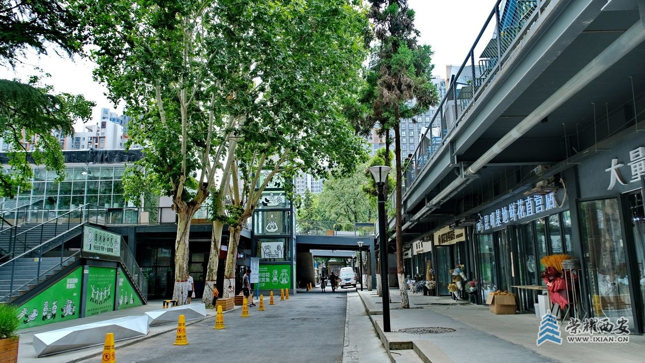 西安 严建设0035.JPG