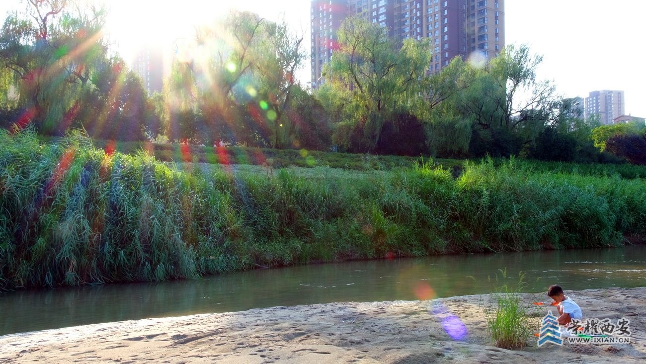 西安 严建设0043.JPG