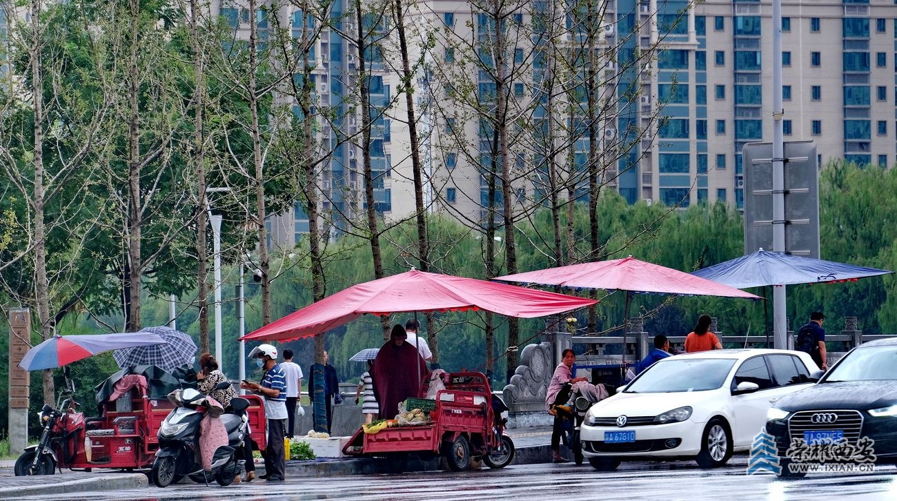 -西安雨景 严建设27.JPG