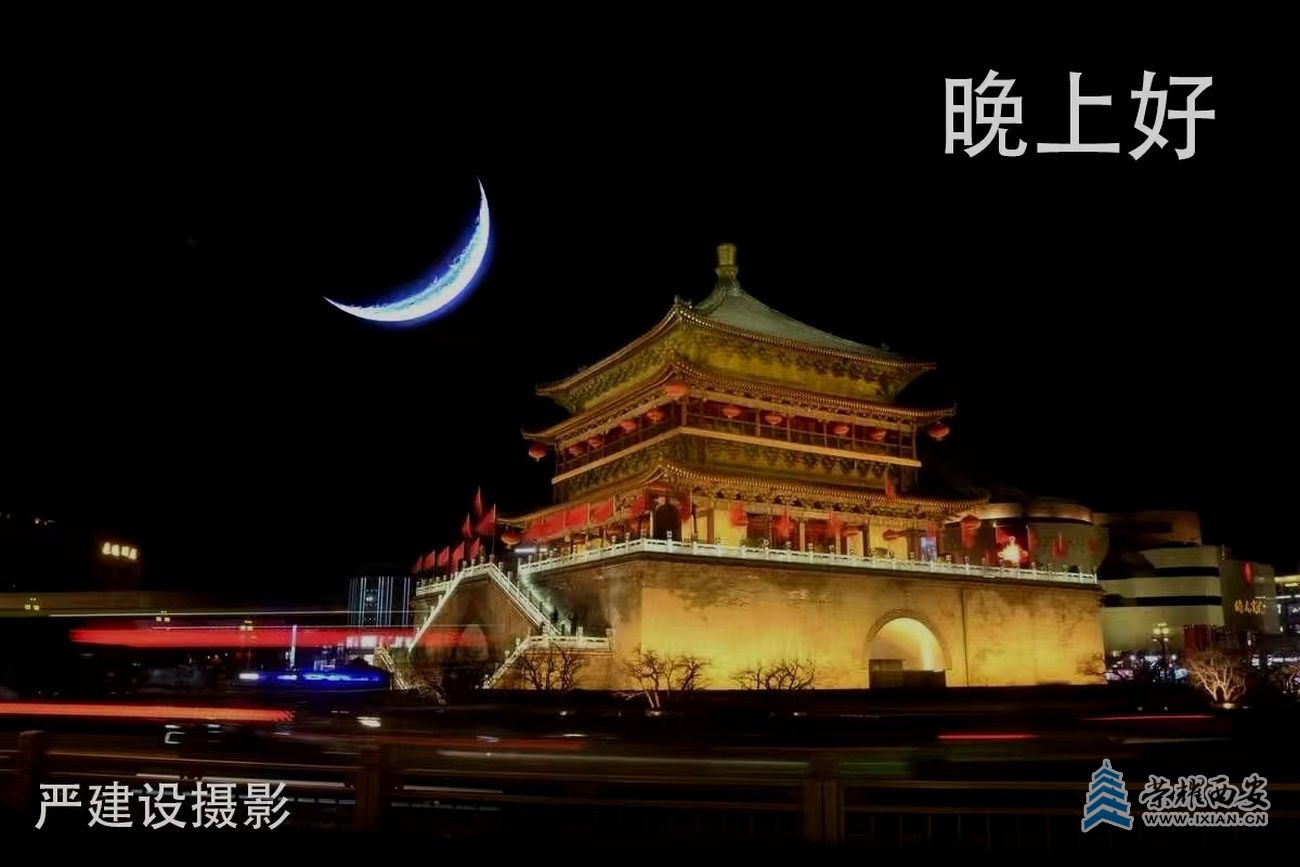 严建设05.jpg