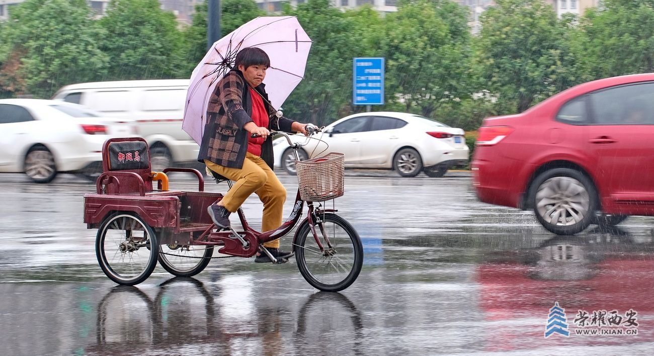 -西安雨景 严建设6.JPG