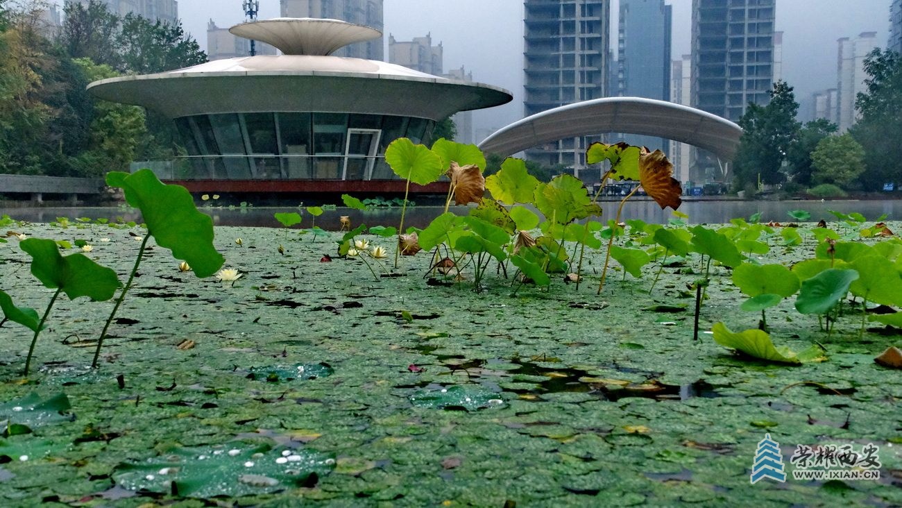 -植物园 严建设040.JPG
