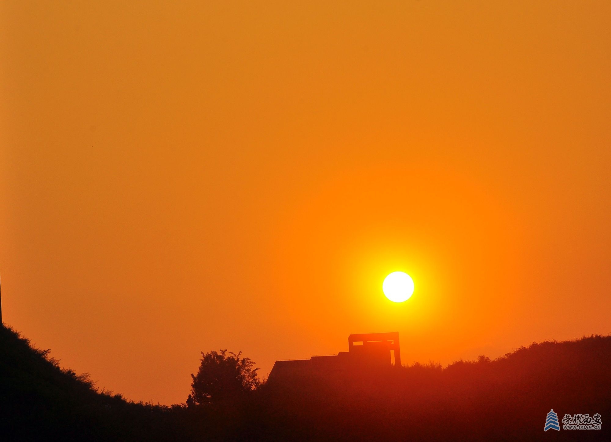 DSC_0996.JPG