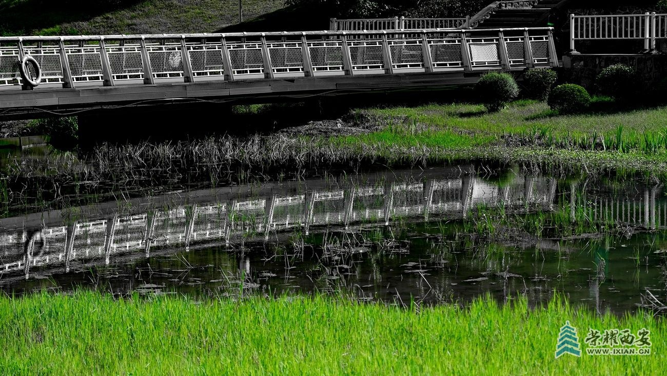 -桃花潭严建设16.JPG
