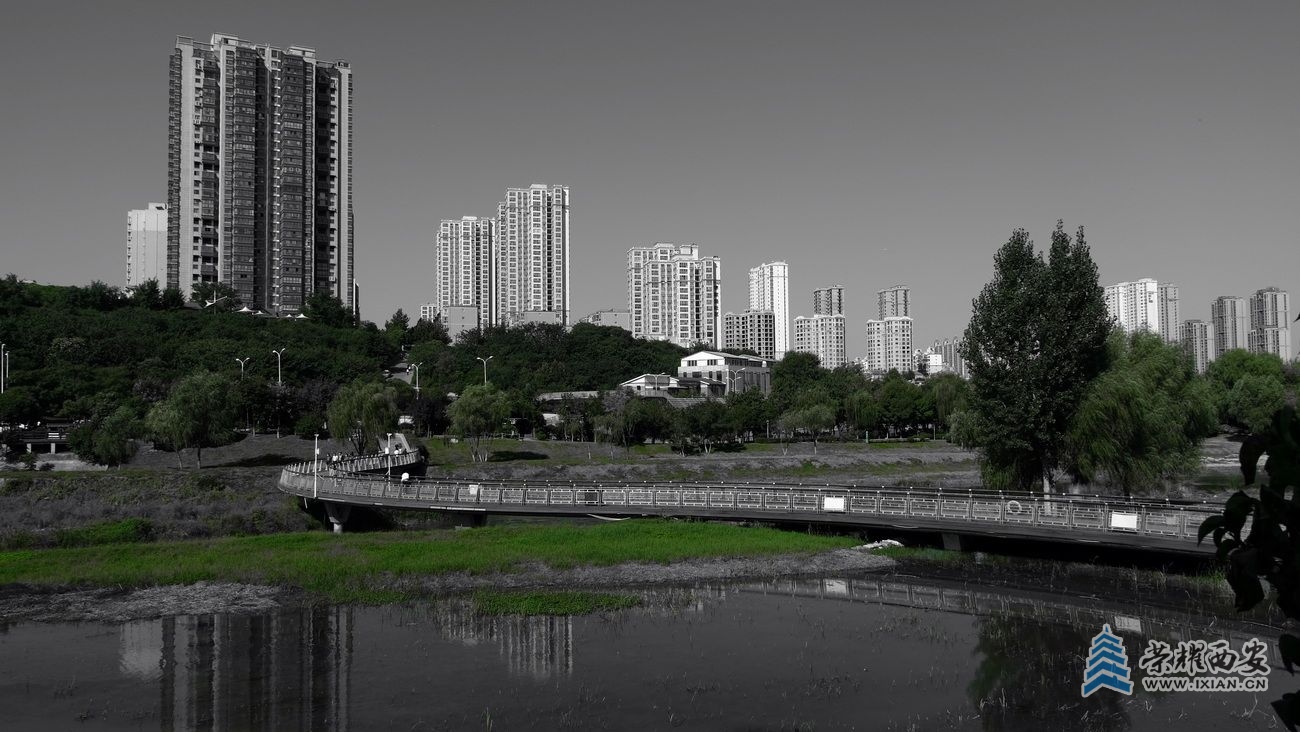 -桃花潭严建设19.JPG