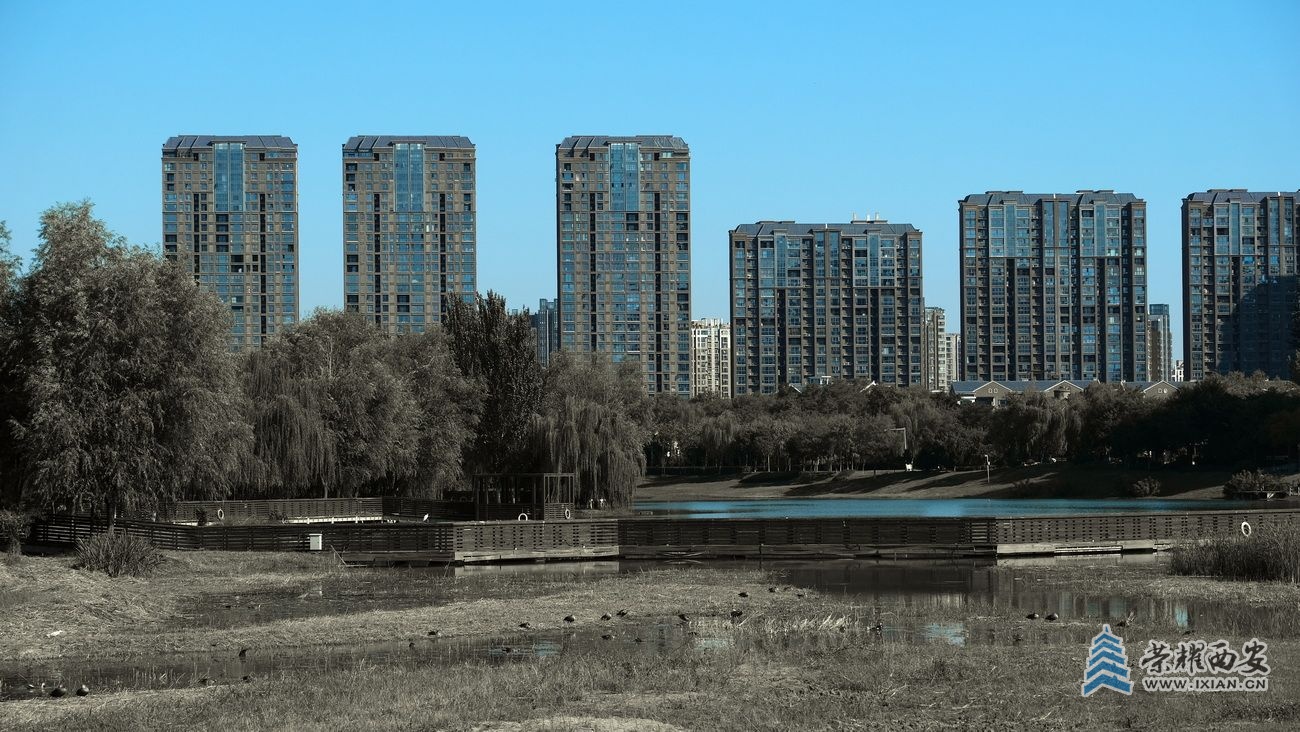 -桃花潭严建设18.JPG