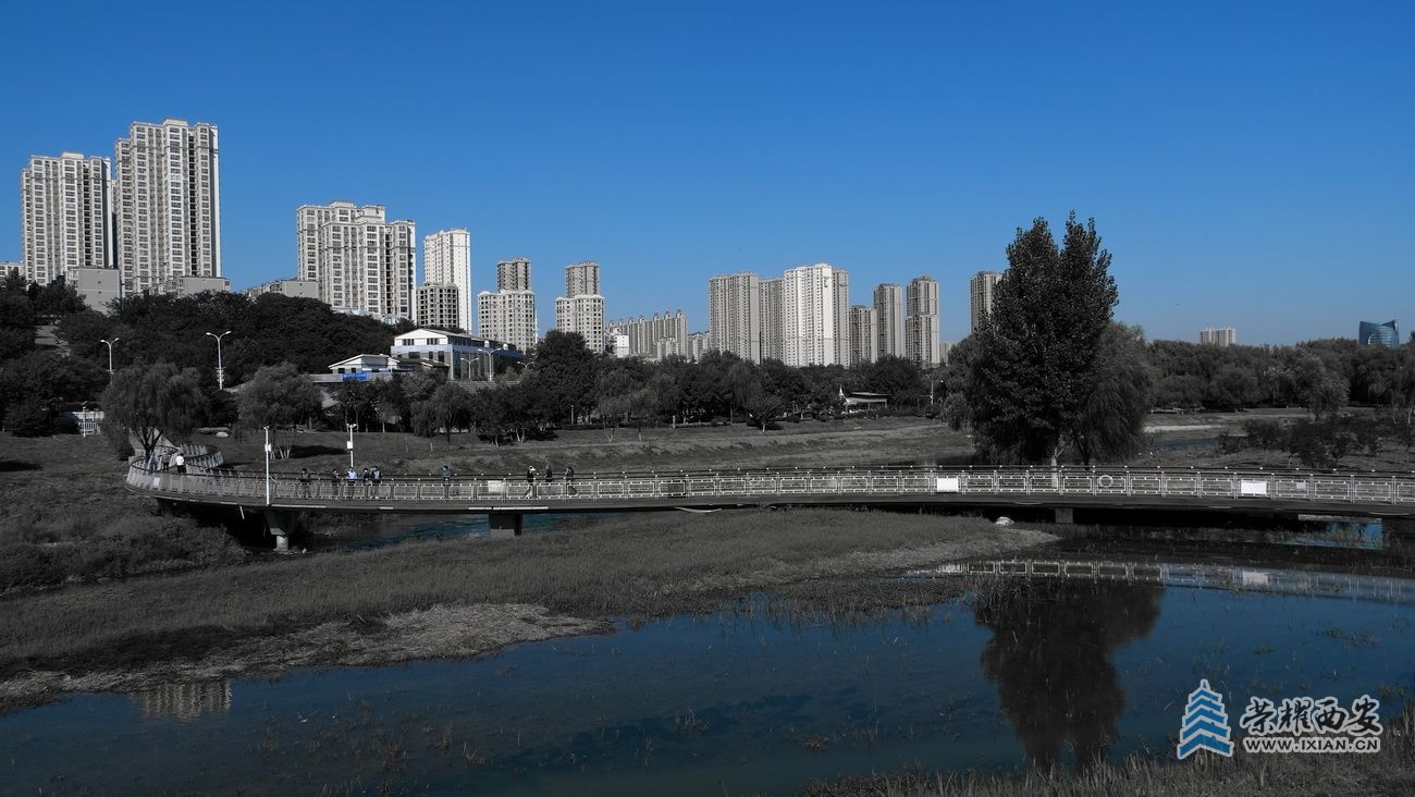 -桃花潭严建设21.JPG