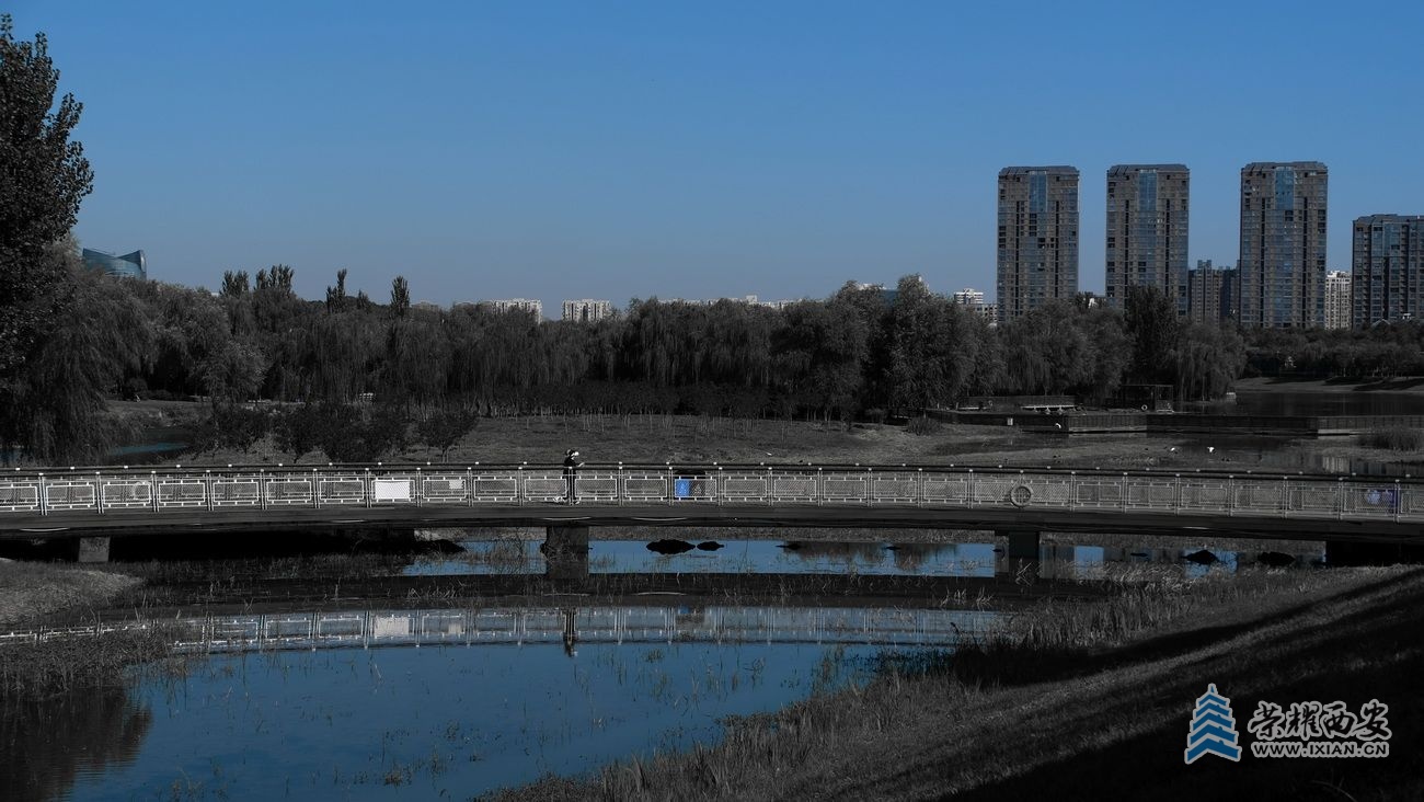 -桃花潭严建设22.JPG