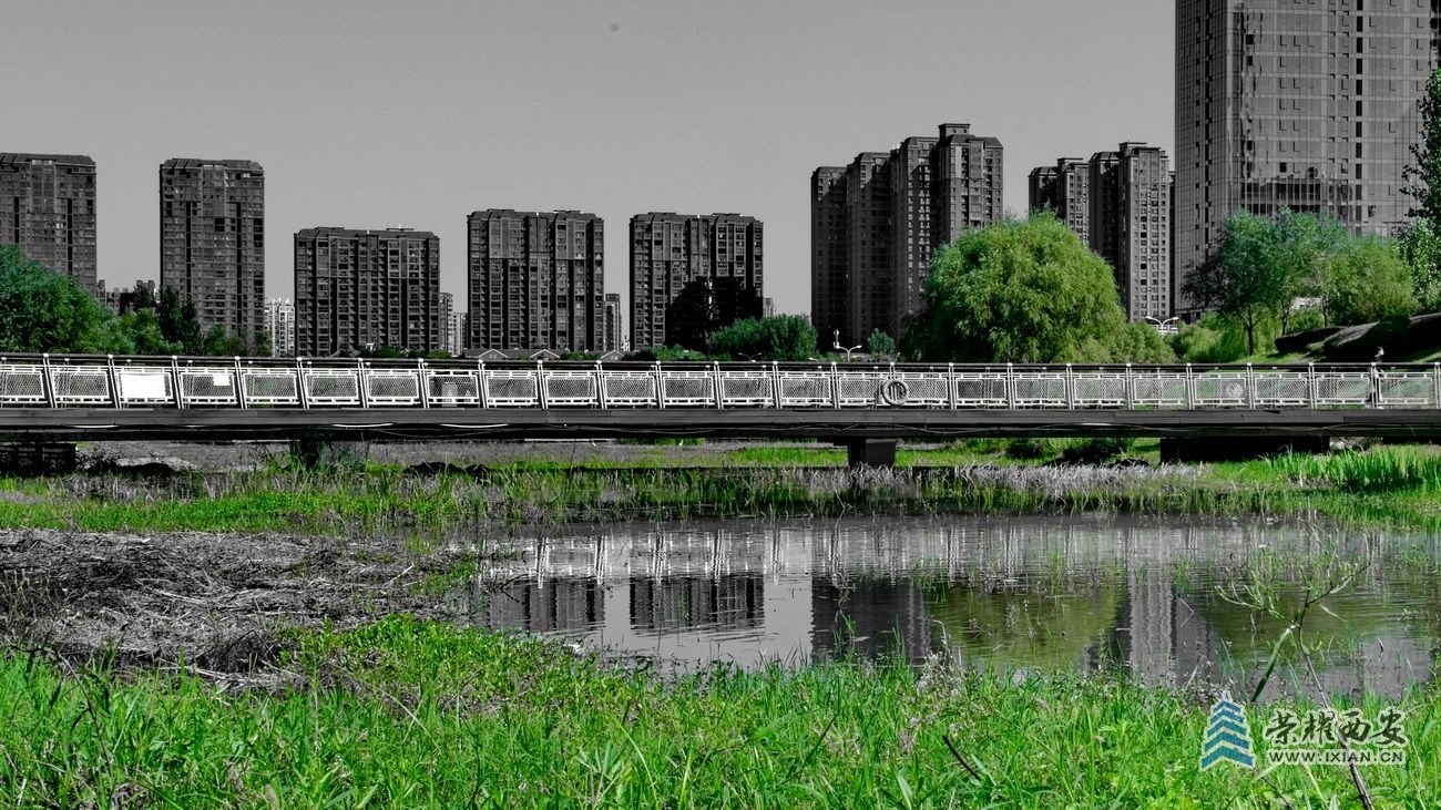 -桃花潭严建设27.JPG