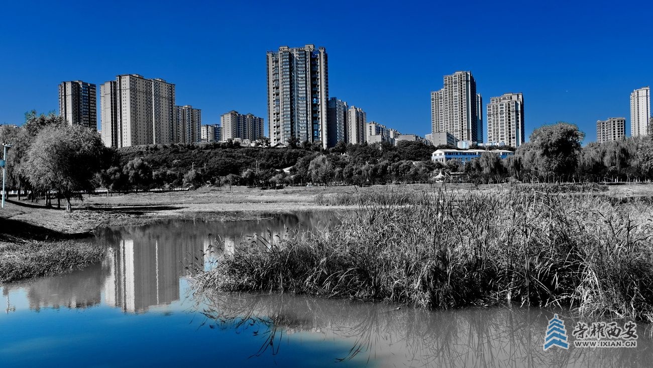 -桃花潭严建设32.JPG
