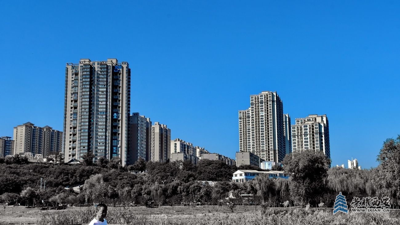 -桃花潭严建设33.JPG