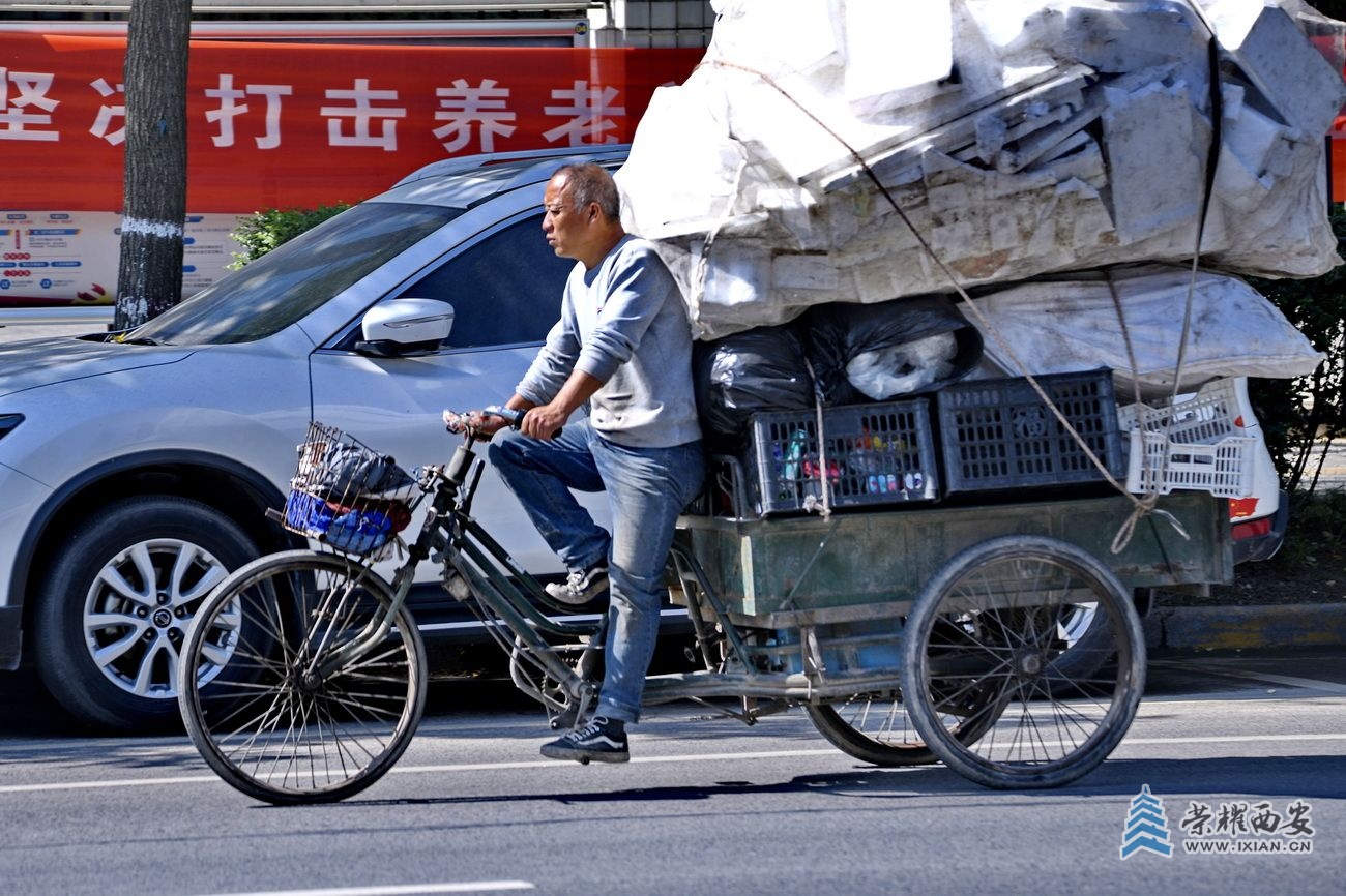 _浐灞生态区 严建设19.JPG