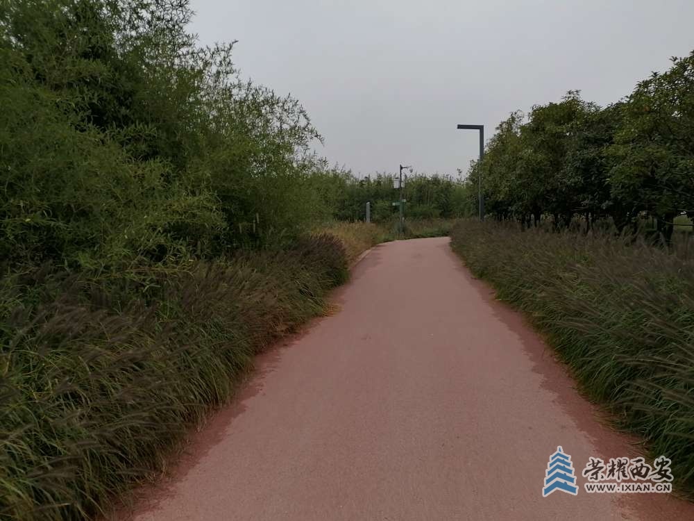 20221004023557front2_0_473708_FpKz43KIy0ybvuUZczxjnRCUAsy8.jpg
