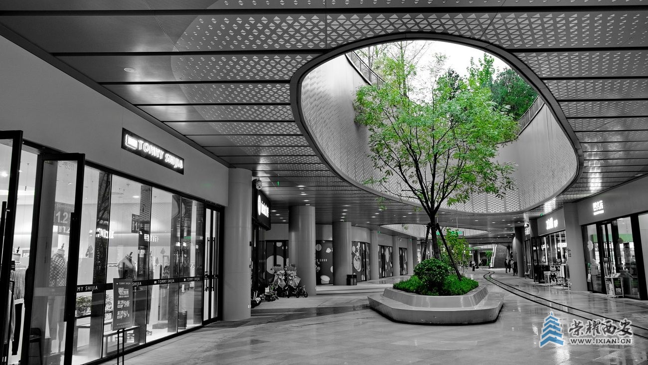 -幸福林带 严建设20.JPG