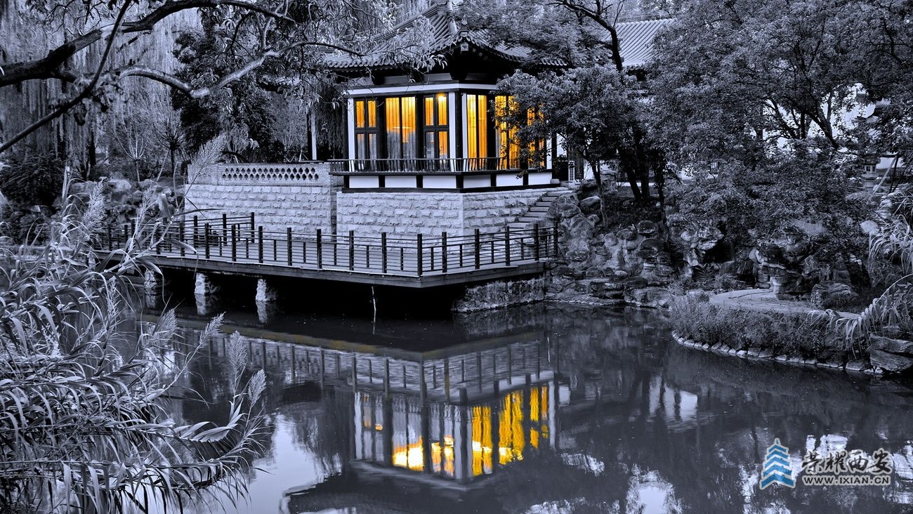 -兴庆宫公园 严建设9.JPG