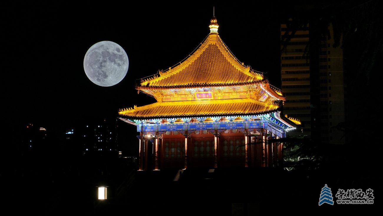 -兴庆宫公园 严建设14.JPG