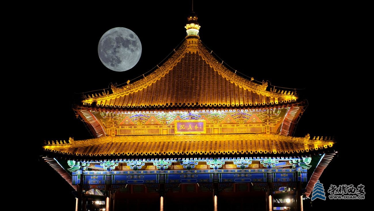 -兴庆宫公园 严建设15.JPG