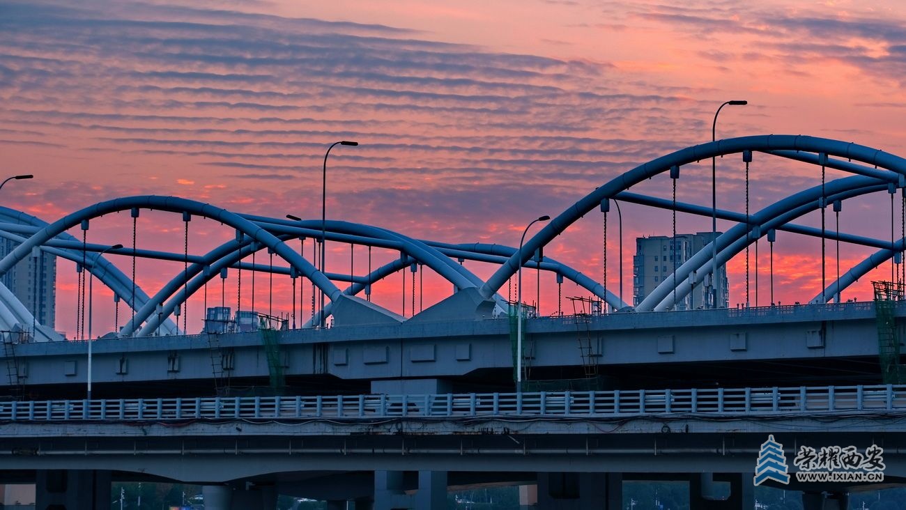 浐灞 严建设3.JPG