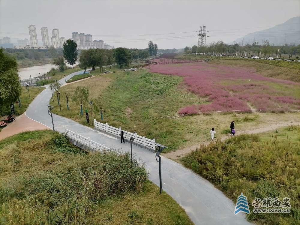 20221013055118front2_0_473708_FqufS_JI7I1qibAoz6_Dtsuar_Mf.jpg