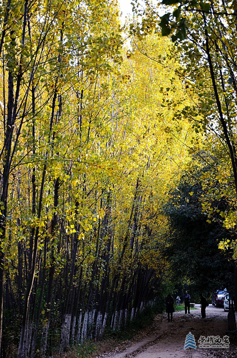 DSC_0642_副本_1.jpg