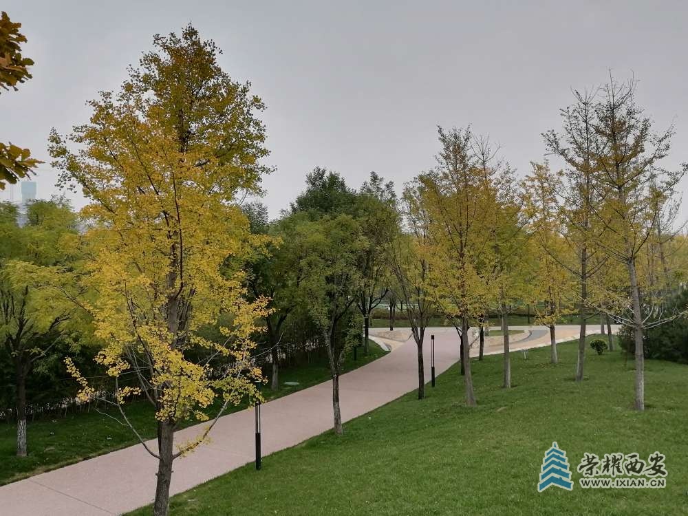 20221015053150front2_0_473708_Fk01ODZR_p2hiRgA-VEGV4EwrUA8.jpg