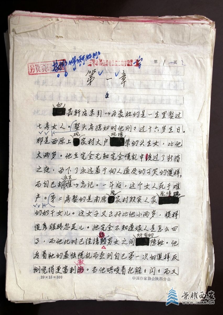 -陈忠实 严建设005.JPG