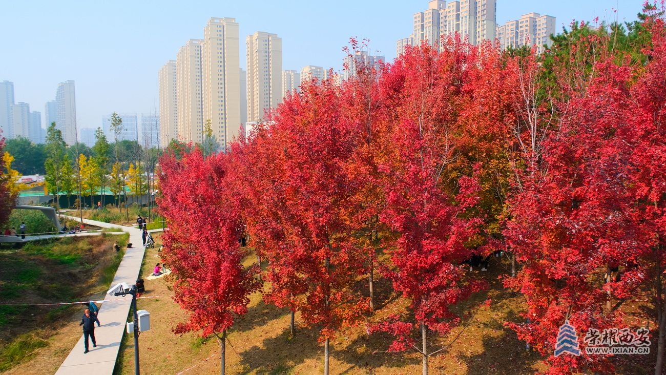 -雁南公园 严建设38.JPG