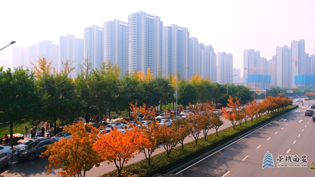 -雁南公园 严建设41.JPG