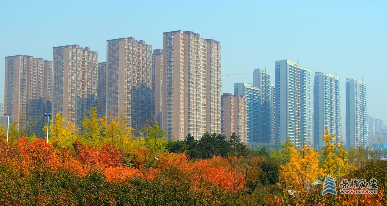 -雁南公园 严建设46.JPG