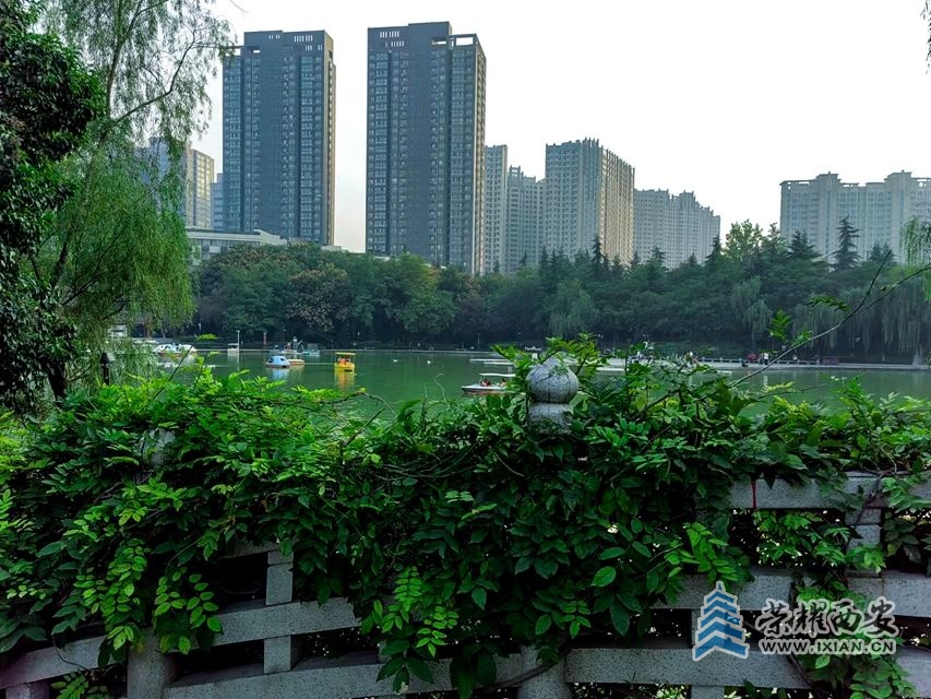 丰庆公园(手机拍摄).jpg