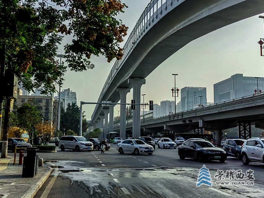 丰庆公园(手机拍摄)-014.jpg