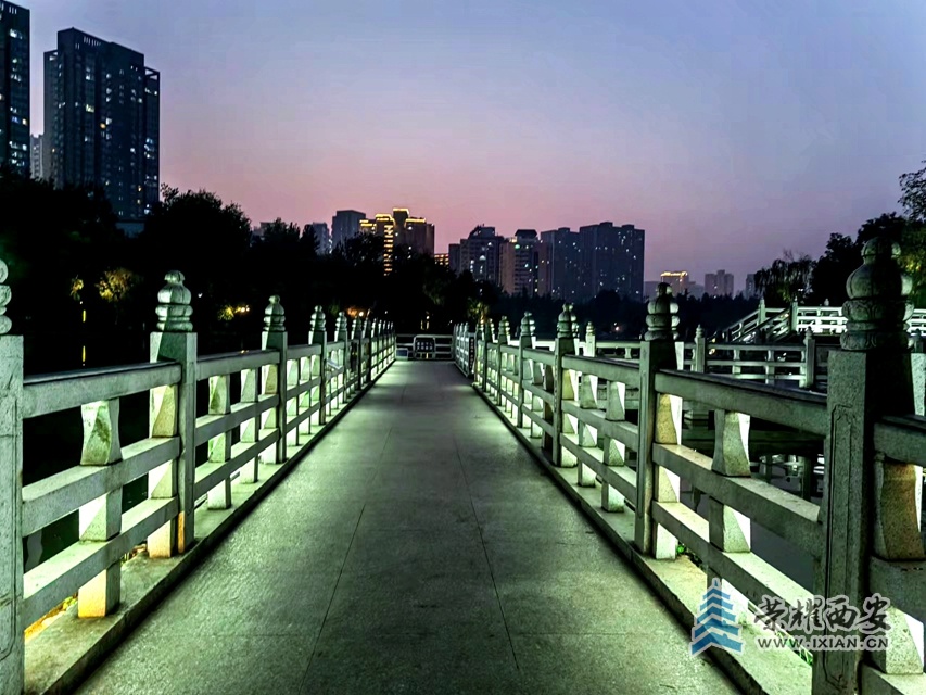 丰庆公园(手机拍摄)-011.jpg