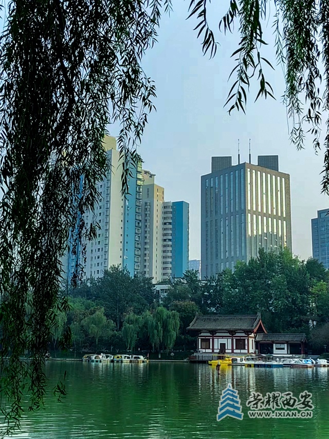 丰庆公园(手机拍摄)-025.jpg