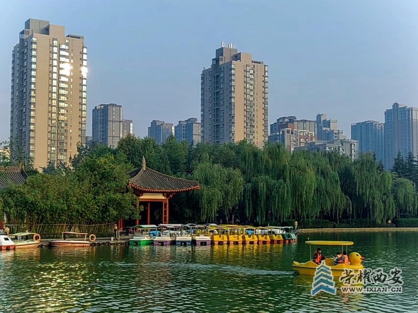 丰庆公园(手机拍摄)-022.jpg