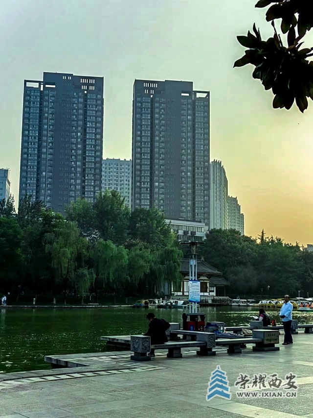 丰庆公园(手机拍摄)-027.jpg
