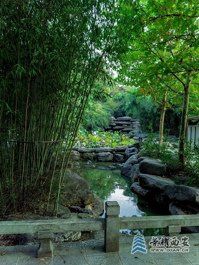 丰庆公园(手机拍摄)-029.jpg