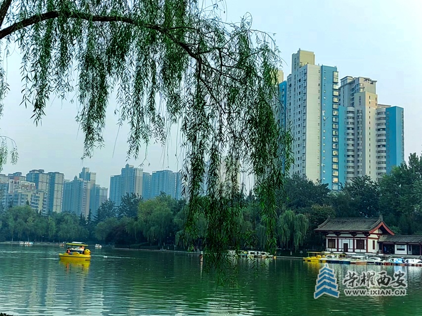 丰庆公园(手机拍摄)-043.jpg