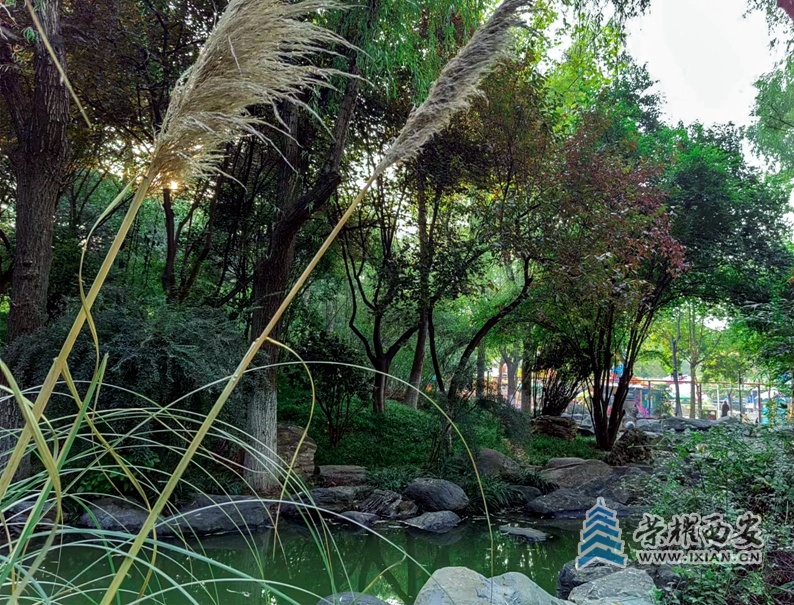 丰庆公园(手机拍摄)-040.jpg
