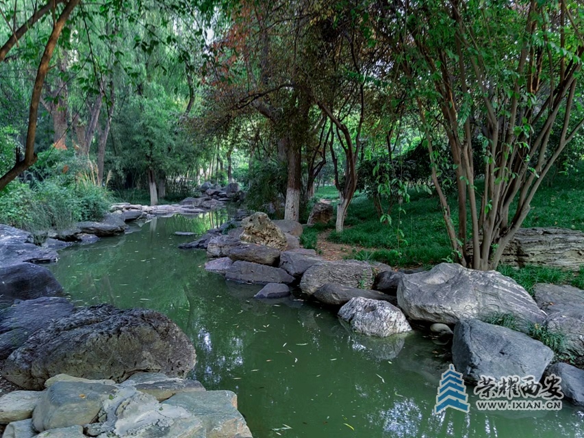 丰庆公园(手机拍摄)-047.jpg