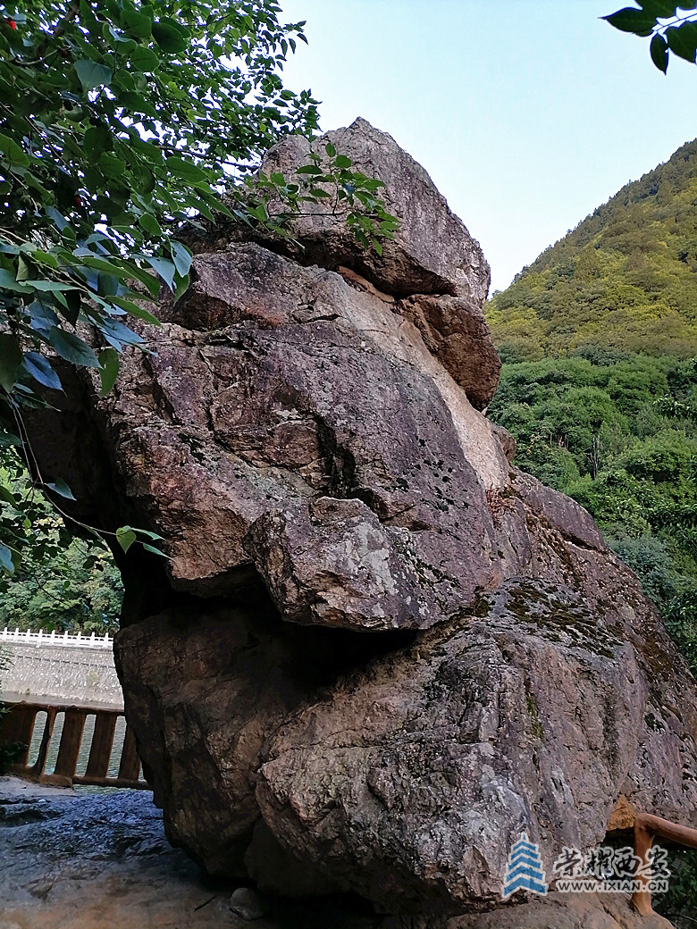 微信图片_20220805205013_副本.jpg