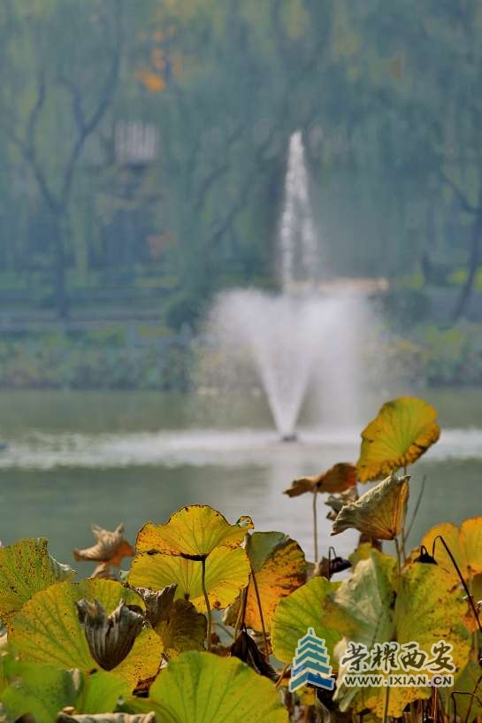 20221021171434front2_0_627177_FmalVsJyP3Ps5X6RMHI_8-54FsE2.jpg