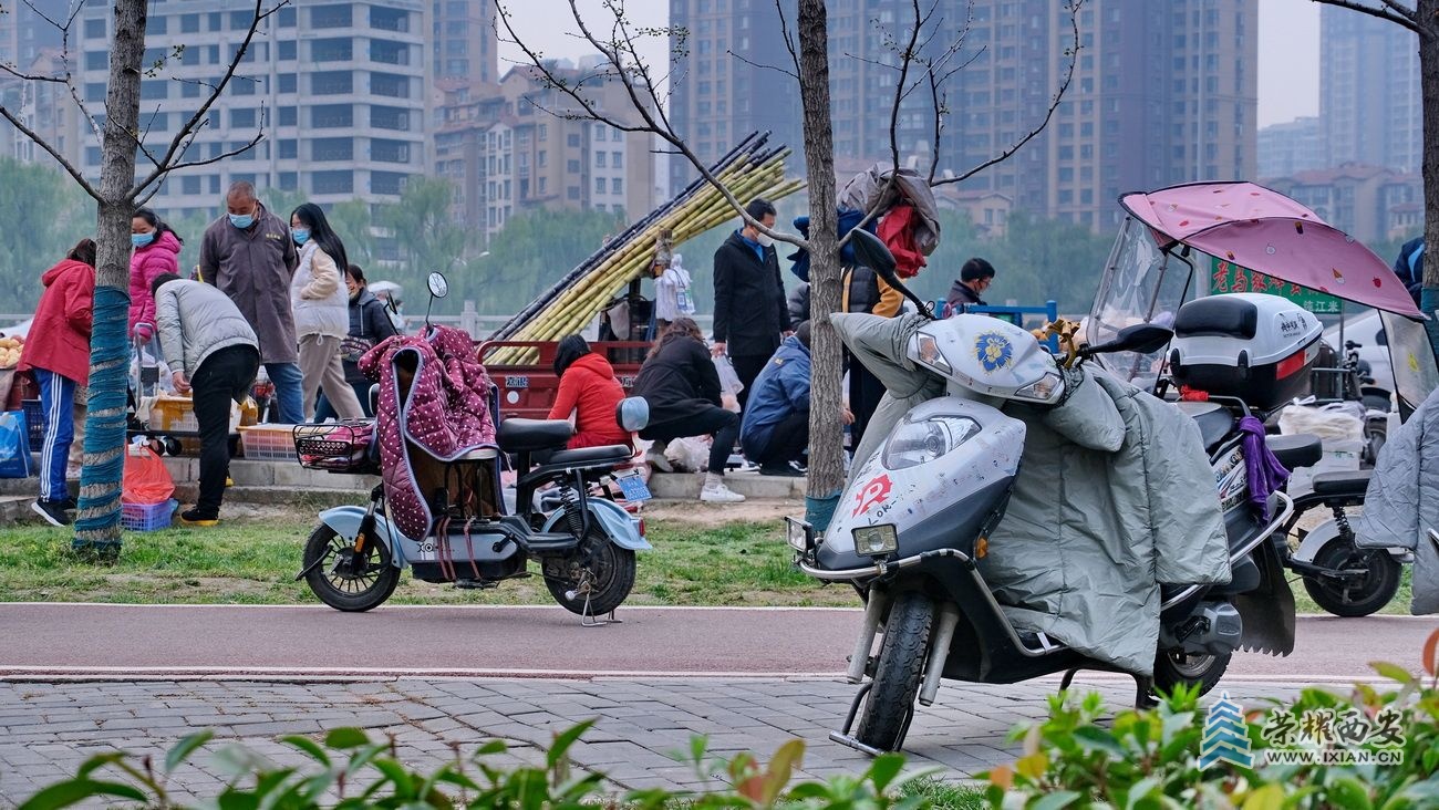 -西安 严建设F29.JPG