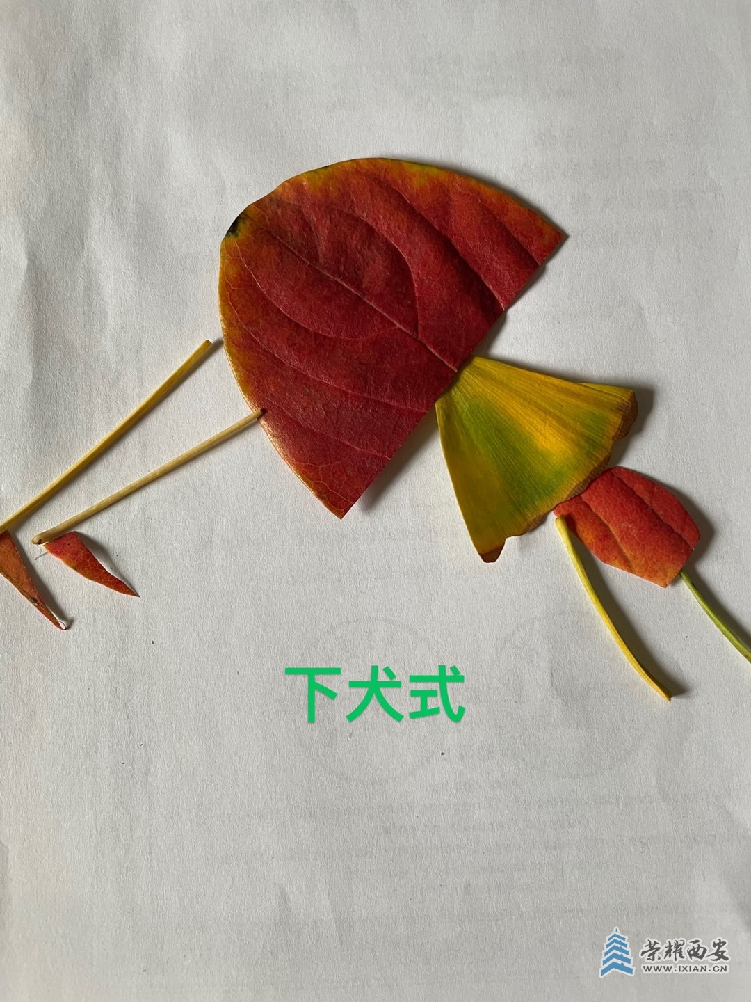 20221029121812front1_0_613619_Fi9H1KoFcxt8E4KJj0exv4K5ytQD.jpg