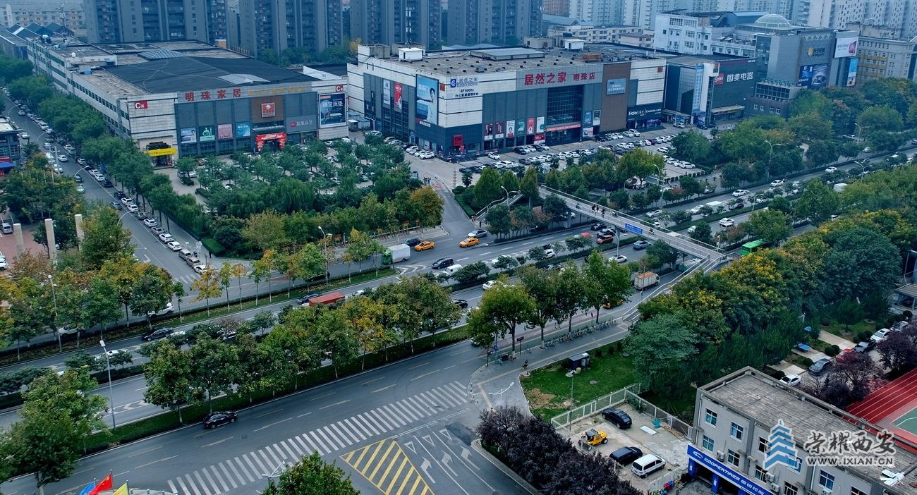 -西安 严建设03.JPG