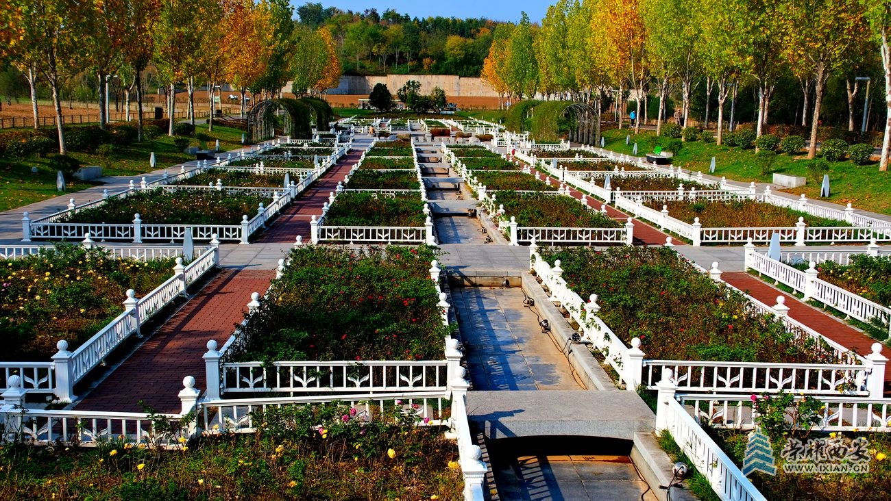 -长安公园 严建设022 .JPG